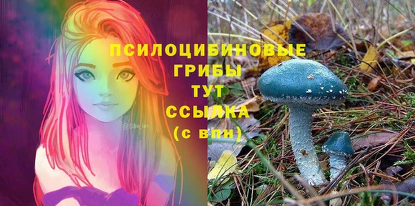 шишки Армянск