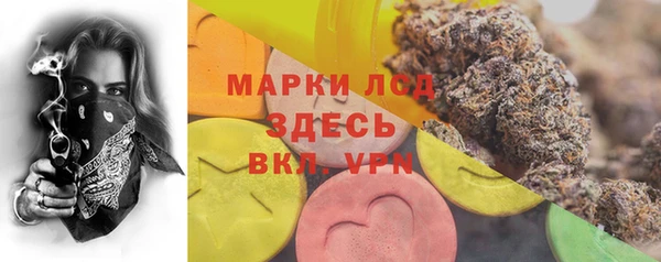 прущий лед Новозыбков